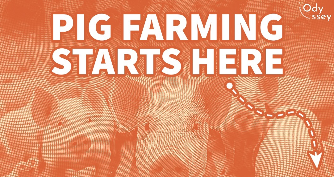 Pig Farming Made Simple