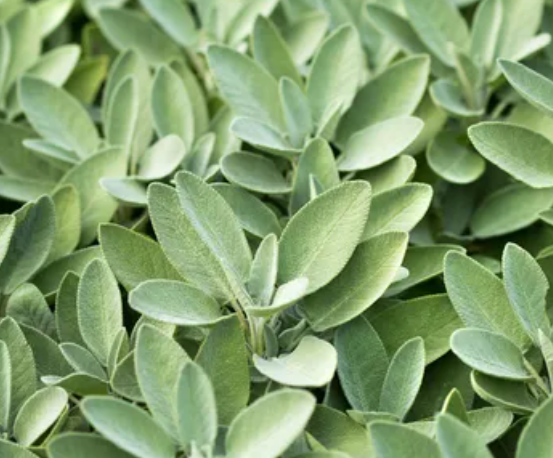 Today is January 19th, 2026