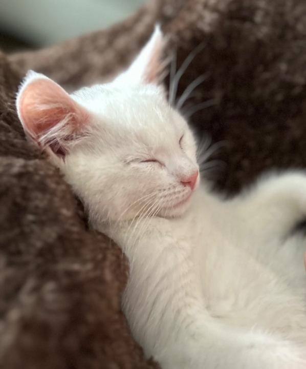 Heather Stewart Robichaud