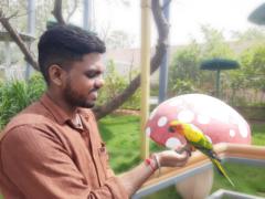 Siva S.a