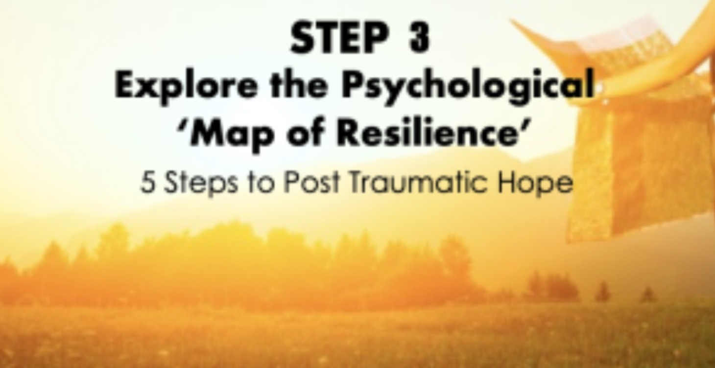 The Map of Resilience