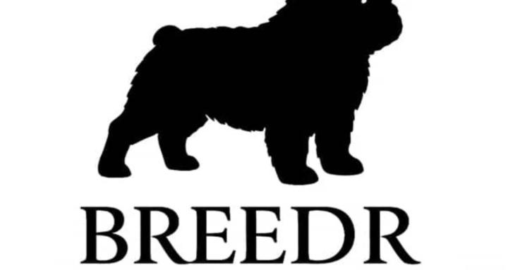 BREEDR ATHLETES 