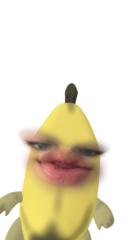 Wilsonn Lee