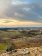 Lina Marie Rosland Bø