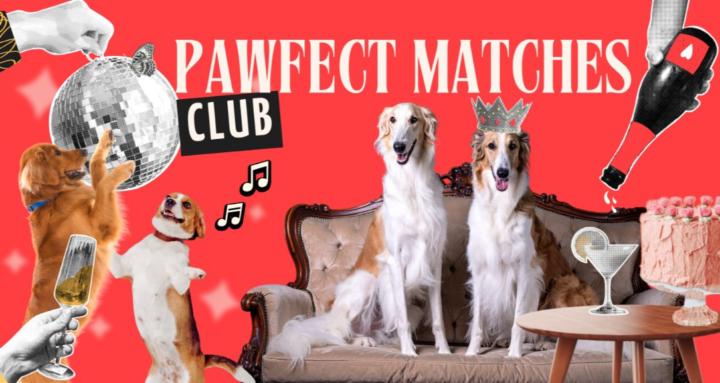 Pawfect Matches® Club 🐶 