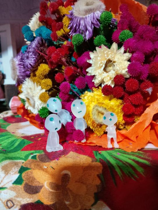 Veronica Robledo Olvera