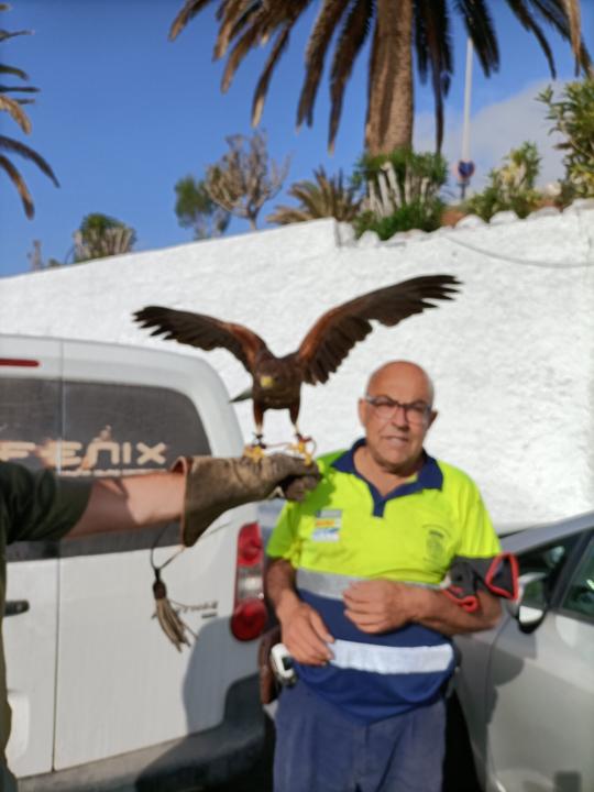 José Domingo Trujillo Hernández