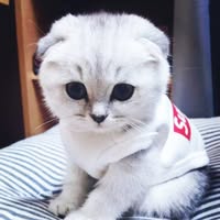 Patrick Quek