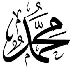 Mohamed Kady