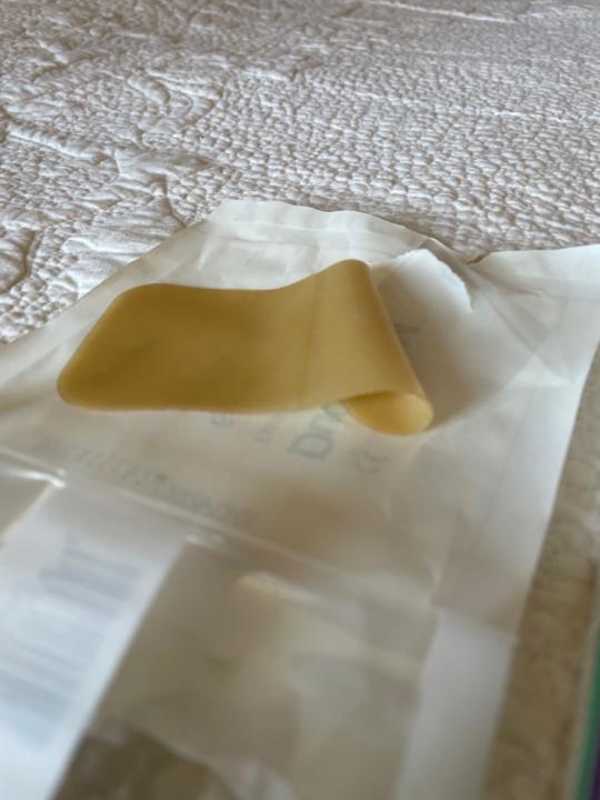 Bertrand de Carné Carnavalet