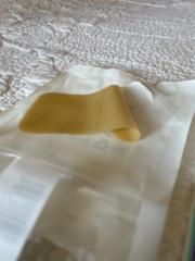 Bertrand de Carné Carnavalet