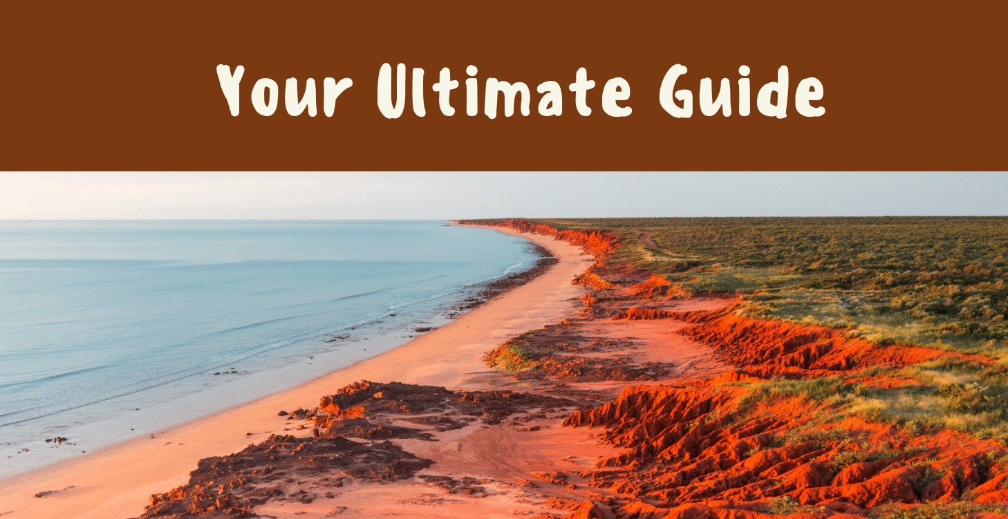 Your Ultimate Guide to the Working Holiday Visa