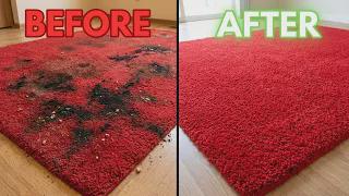 𝑾𝒂𝒕𝒄𝒉 𝑴𝒚 𝑪𝒂𝒓𝒑𝒆𝒕 𝑮𝒐 𝑭𝒓𝒐𝒎 𝑮𝒓𝒐𝒔𝒔 𝒕𝒐 𝑮𝒓𝒆𝒂𝒕!