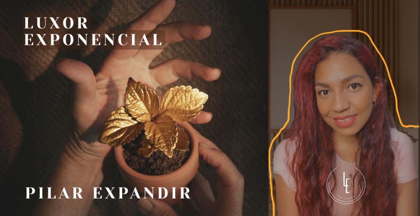 📚 Luxor | Pilar Tres: Expandir