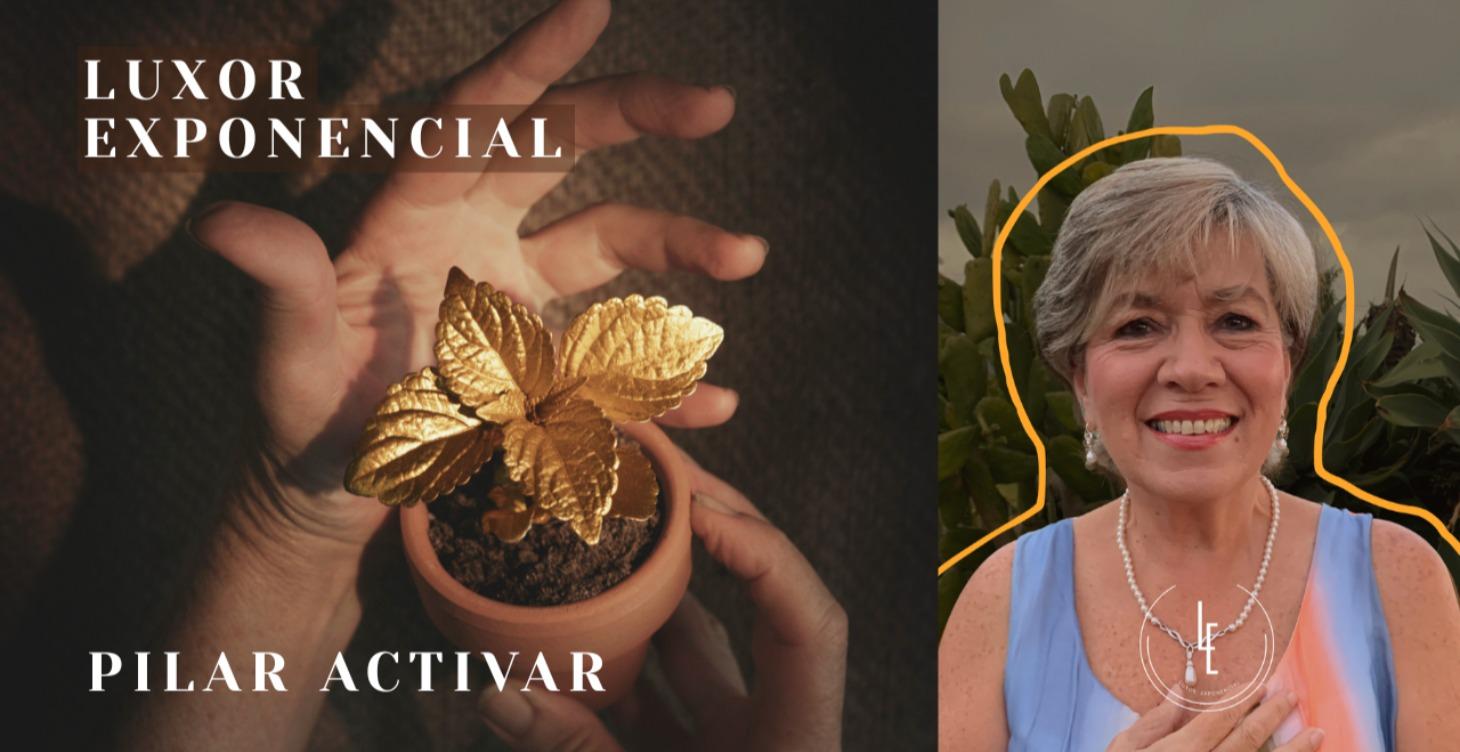 📚 Luxor | Pilar Dos: Activar