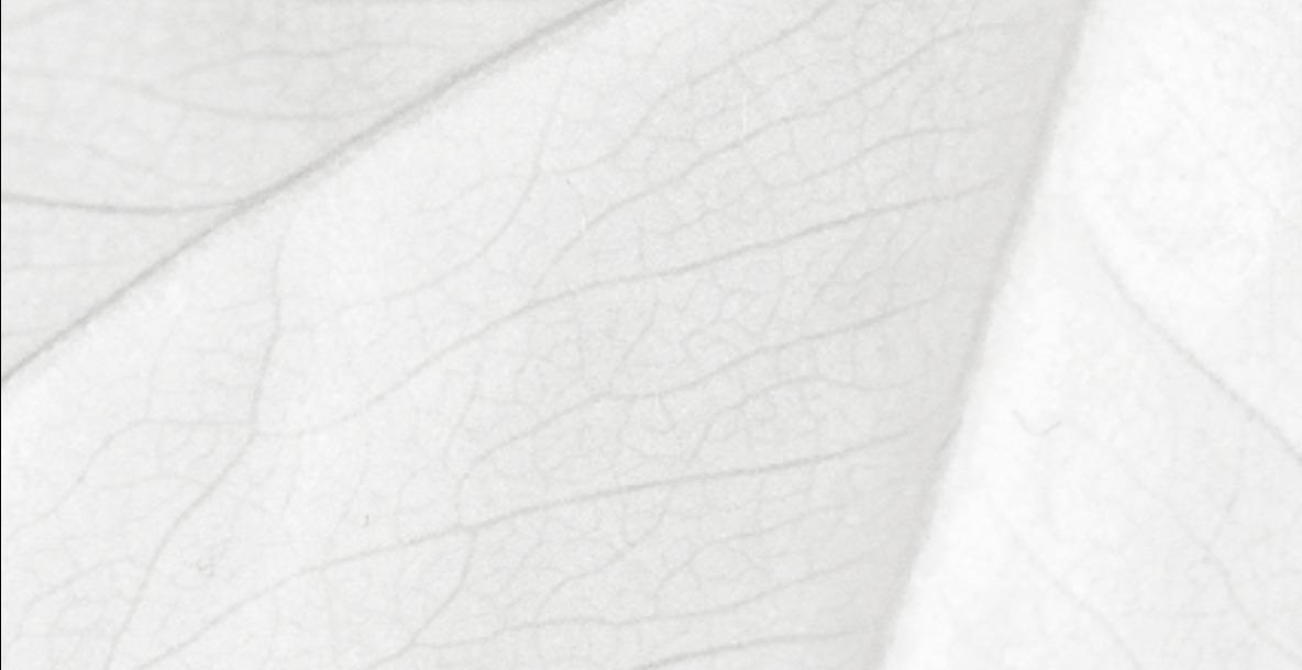 The Pillars of House of Jo