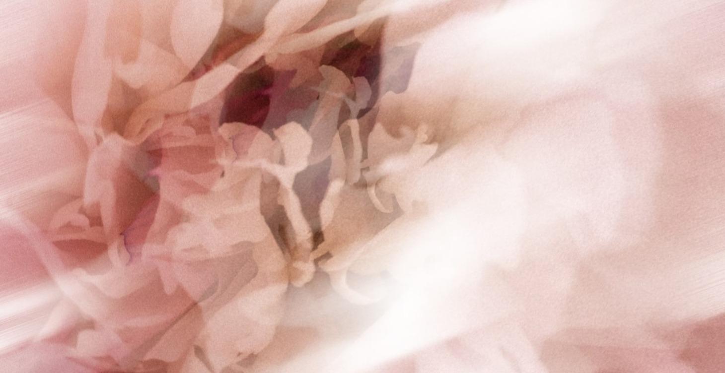 House of Jo: Foundations