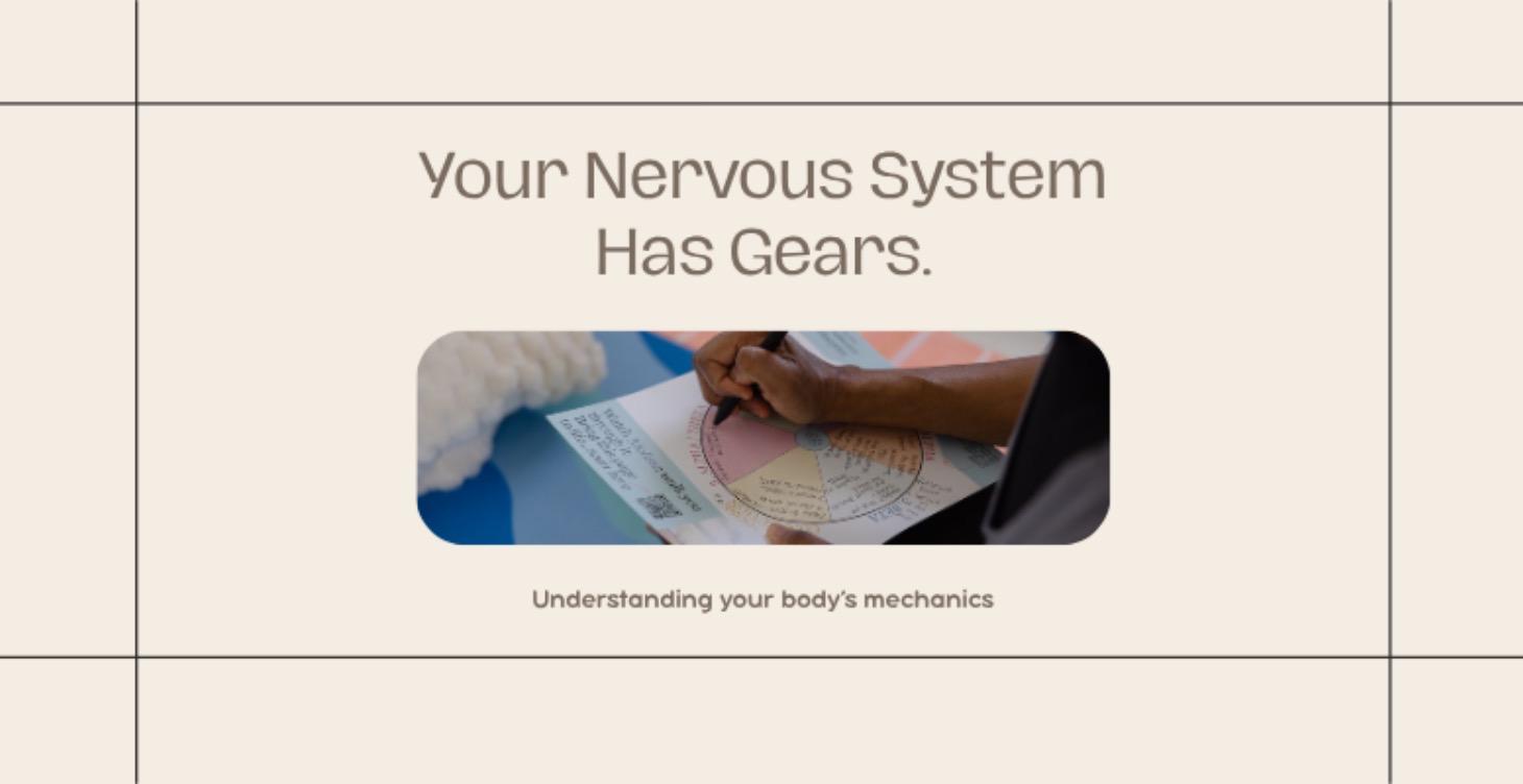 Your Nervous System Has Gears