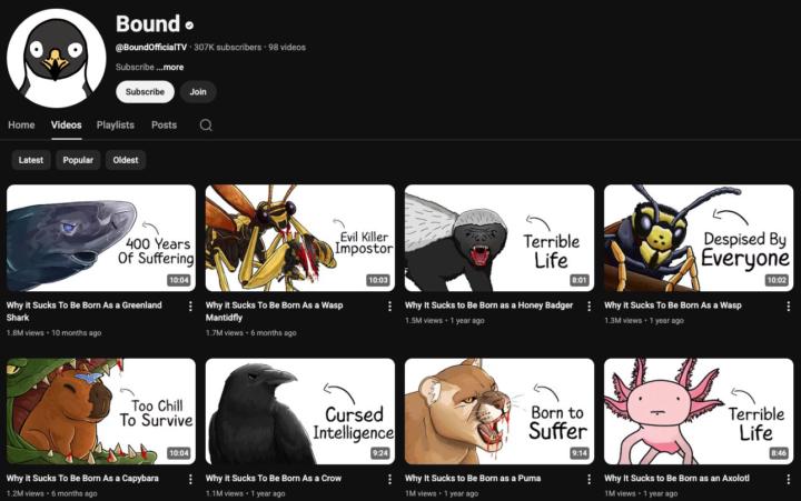 🚀 This Is What YouTube Automation Looks Like When It Works! 💰