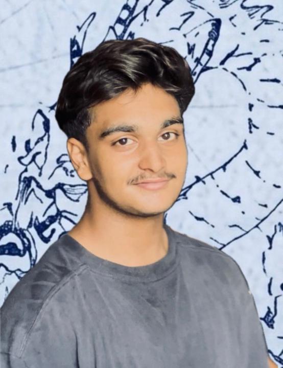 Bilal Ashraf