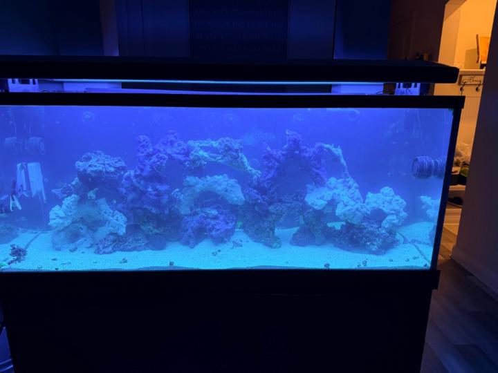 Marcos Perivolaris Perivolaris