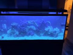 Marcos Perivolaris Perivolaris