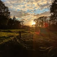 Sylvie Langlois-Deschamps