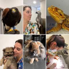 Esther Cobiella De León