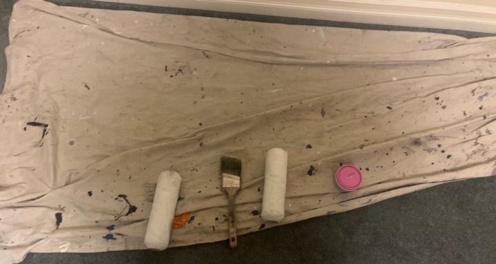 Pro Painting classes