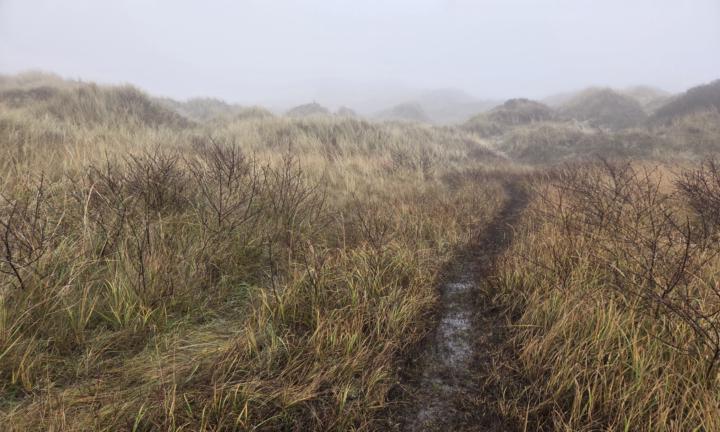 🧁 easy way to find if you already did a certain post...