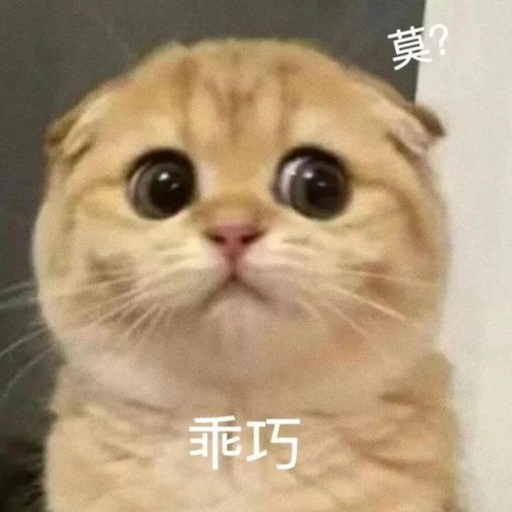 Xiaohu Zha