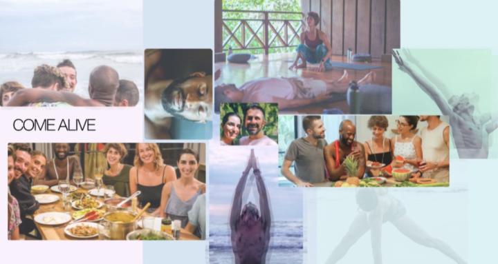 COME ALIVE | Yoga & Wellness