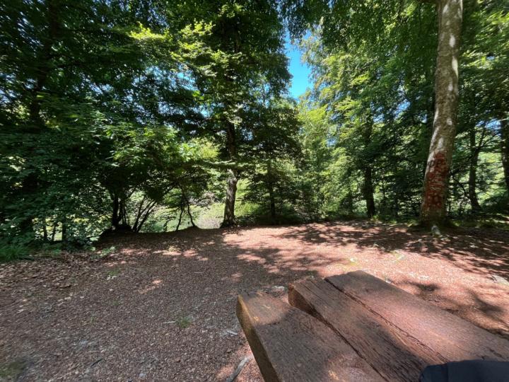 Brié Charles-Edouard