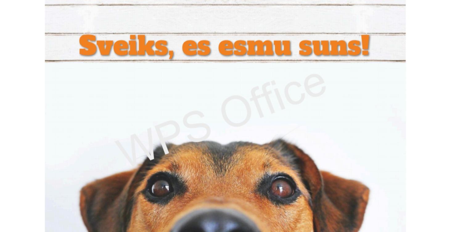 3., 4. un 5. klases skolēniem