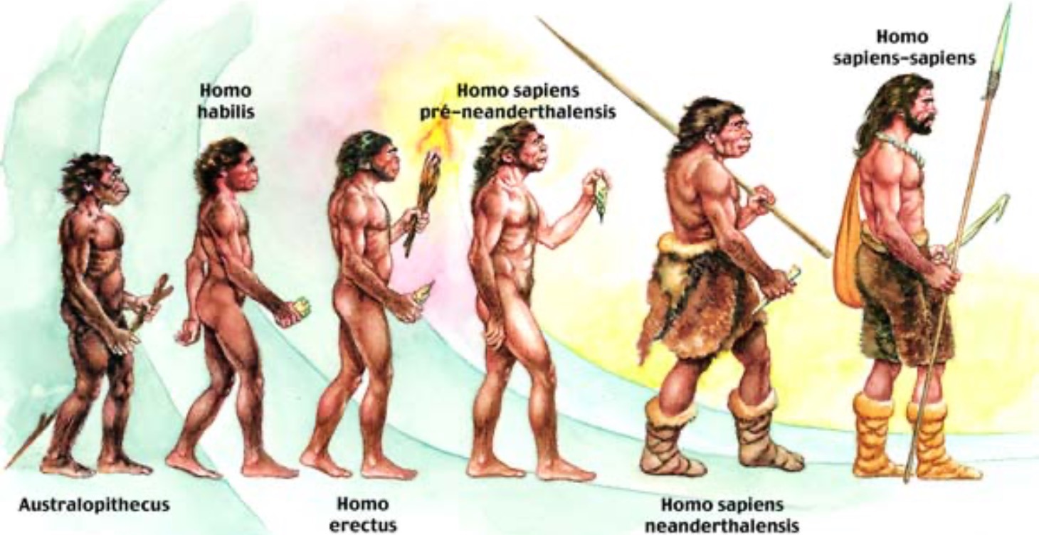 WHAT TO DO AT YOUR FIRST DAY AT THE GYM?