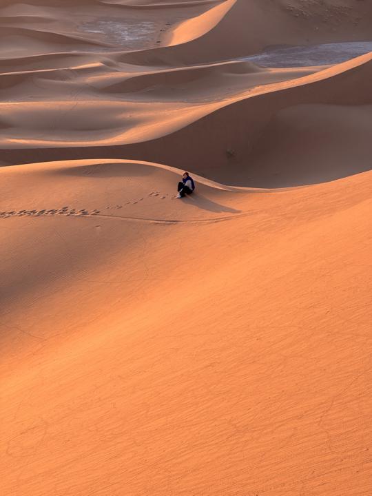 Whisper of the Desert 🏜️✨