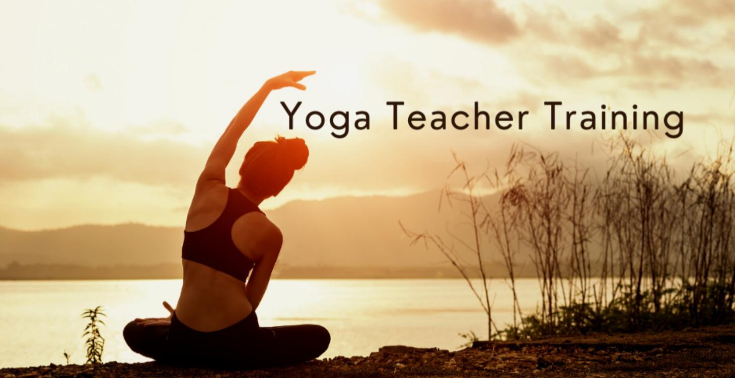Yoga Teacher Training