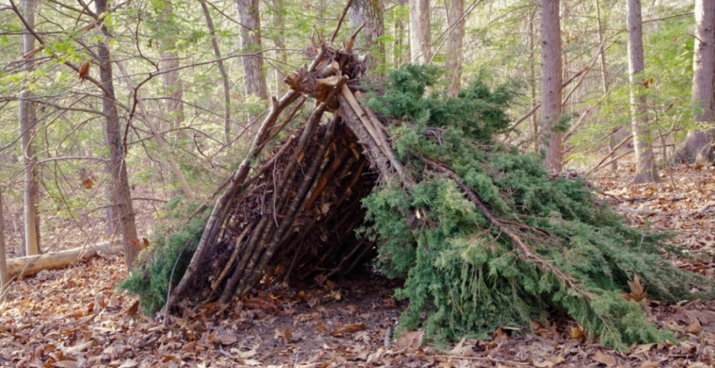 COURSE 3: Build Your Survival Shelter