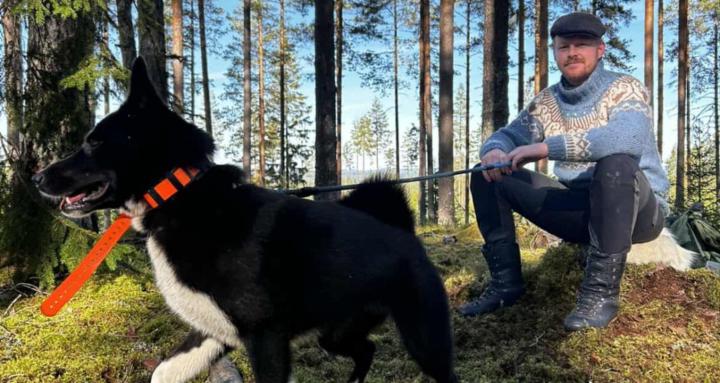 Survival of the fittest