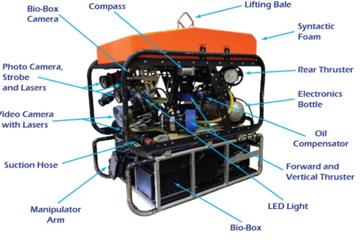 🌊 Subsea Remotely Operated Vehicles (ROVs)
