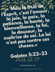 Babarah B Louis