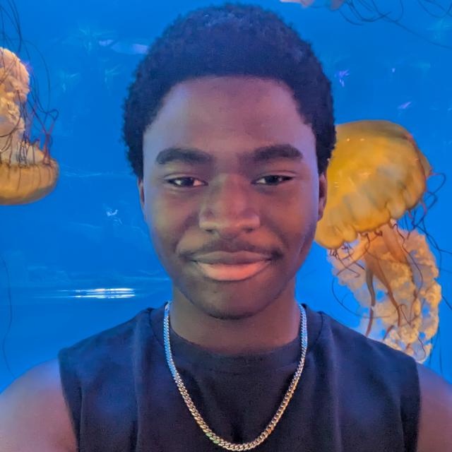 Tasimba Makoni