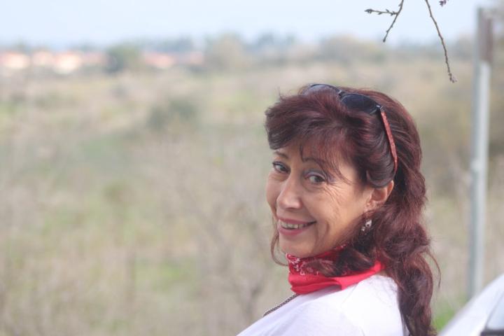 Diana Sevitz