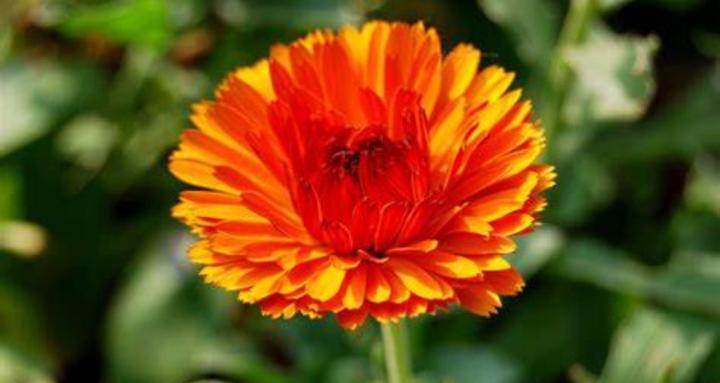 Digital Innovations Magic