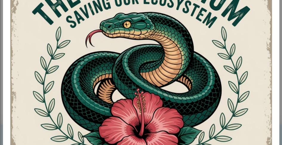 Learning about  reptile