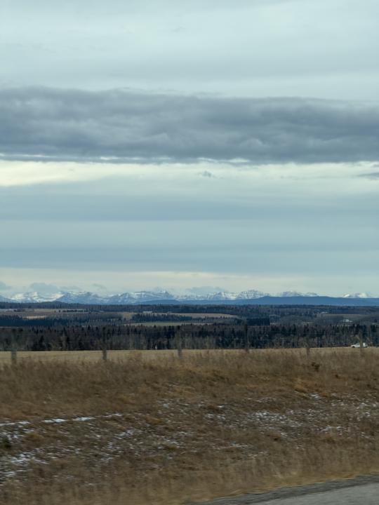 Sunday Morning at the Farm