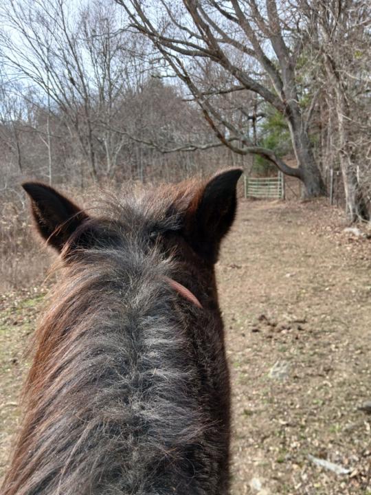 Ranch stuffs and fun