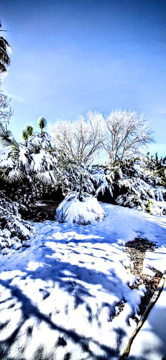 Snow 