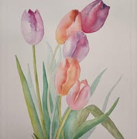 Isabel Lazaro martín