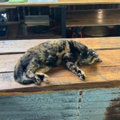 Claudia Serrano Ruiz